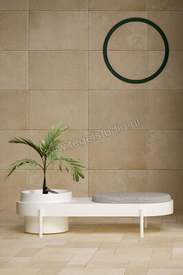  Fioranese Pietraviva Dorato 40.8x61.4 cm Vloertegel / Wandtegel Mat Gestructureerd Naturale PV462 | 468367