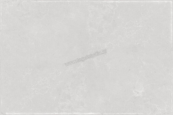  Fioranese Pietraviva Grigio Chiaro 60.4x90.6 cm Vloertegel / Wandtegel Mat Gestructureerd Silk PV693R | 468406