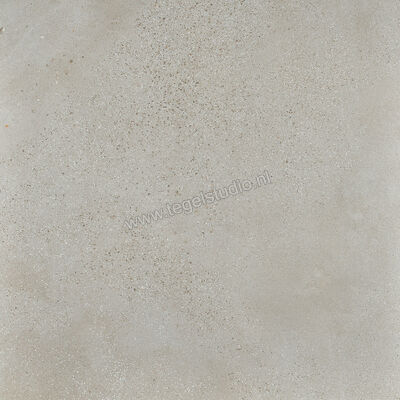  Fioranese I Cocci Cenere 90x90 cm Vloertegel / Wandtegel Mat Gestructureerd Naturale IC903R | 468767