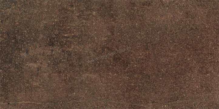  Sant Agostino Dripart Bronze 30x60 cm Vloertegel / Wandtegel Mat Gestructureerd Naturale CSADRBZ360 | 469262