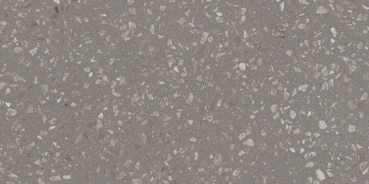 Sant Agostino Glow Grey 60x120 cm Vloertegel / Wandtegel Mat Vlak CSAGLGK612 | 472448