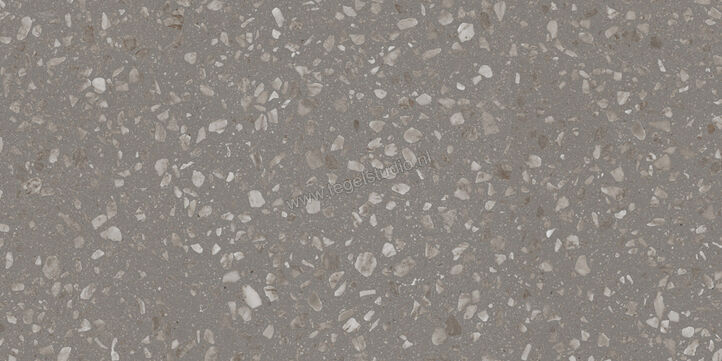  Sant Agostino Glow Grey 60x120 cm Vloertegel / Wandtegel Mat Vlak CSAGLGK612 | 472457
