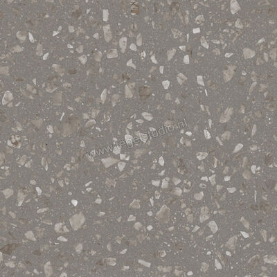  Sant Agostino Glow Grey 60x60 cm Vloertegel / Wandtegel Mat Vlak CSAGLOGY60 | 472610
