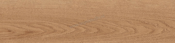  Sant Agostino Gracewood Natural 30x120 cm Vloertegel / Wandtegel Mat Gestructureerd Naturale CSAGRWNA30 | 473252
