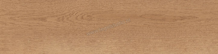  Sant Agostino Gracewood Natural 30x120 cm Vloertegel / Wandtegel Mat Gestructureerd Naturale CSAGRWNA30 | 473255