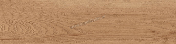  Sant Agostino Gracewood Natural 30x120 cm Vloertegel / Wandtegel Mat Gestructureerd Naturale CSAGRWNA30 | 473258
