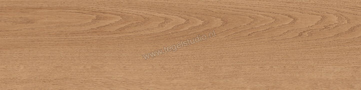  Sant Agostino Gracewood Natural 30x120 cm Vloertegel / Wandtegel Mat Gestructureerd Naturale CSAGRWNA30 | 473261