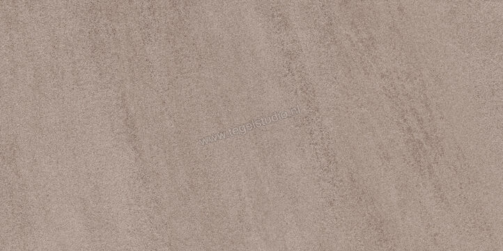  Sant Agostino Windstone Brown 60x120 cm Vloertegel / Wandtegel Mat Vlak CSAWISBR12 | 476720