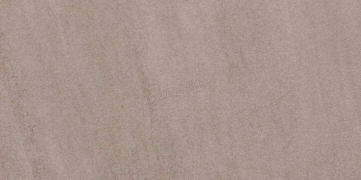  Sant Agostino Windstone Brown 60x120 cm Vloertegel / Wandtegel Mat Vlak CSAWISBR12 | 476723