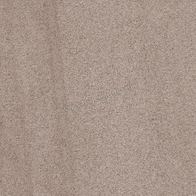  Sant Agostino Windstone Brown 60x60 cm Vloertegel / Wandtegel Mat Vlak CSAWISBR60 | 476753