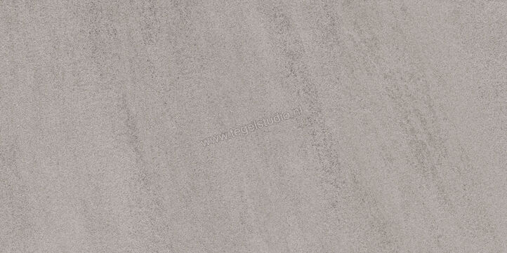  Sant Agostino Windstone Grey 60x120 cm Vloertegel / Wandtegel Mat Vlak CSAWISGR12 | 476795