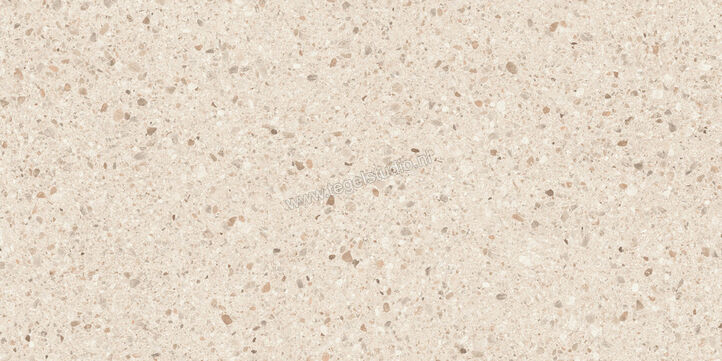  Sant Agostino Gravel Full Light 60x120 cm Vloertegel / Wandtegel Mat Gestructureerd Naturale CSAGDL6012 | 477854