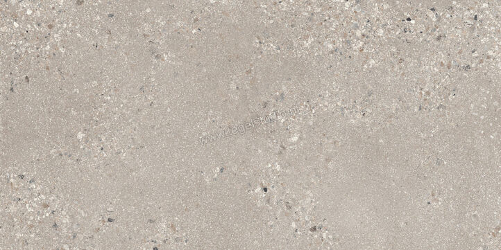  Sant Agostino Gravel Large Grey 60x120 cm Vloertegel / Wandtegel Mat Gestructureerd Naturale CSAGLG6012 | 478226