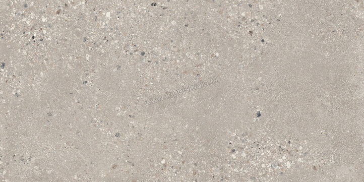  Sant Agostino Gravel Large Grey 60x120 cm Vloertegel / Wandtegel Mat Gestructureerd Naturale CSAGLG6012 | 478241