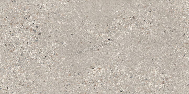  Sant Agostino Gravel Large Grey 60x120 cm Vloertegel / Wandtegel Mat Gestructureerd Naturale CSAGLG6012 | 478244