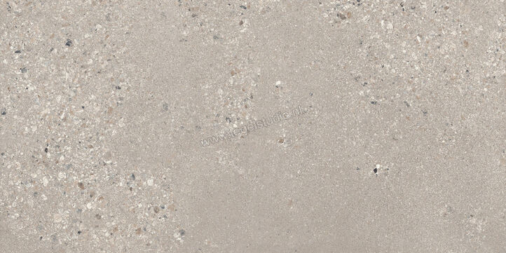  Sant Agostino Gravel Large Grey 60x120 cm Vloertegel / Wandtegel Mat Gestructureerd Naturale CSAGLG6012 | 478247