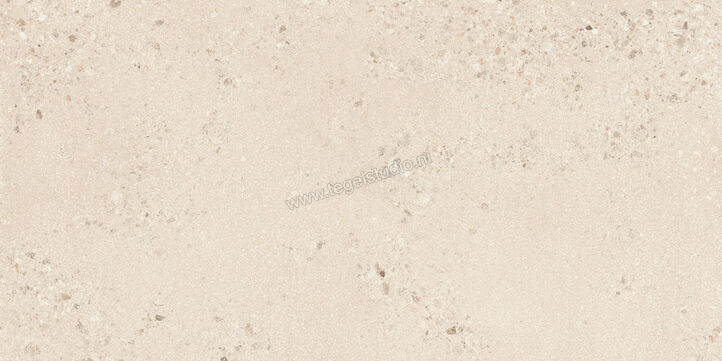 Sant Agostino Gravel Large Light 60x120 cm Vloertegel / Wandtegel Mat Gestructureerd Naturale CSAGLL6012 | 478304