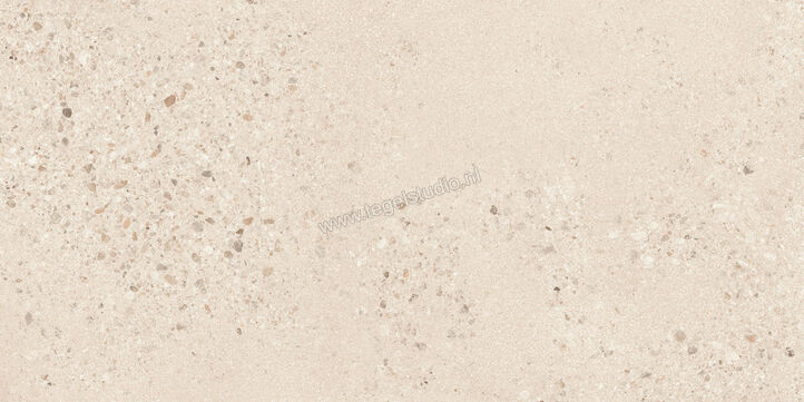  Sant Agostino Gravel Large Light 60x120 cm Vloertegel / Wandtegel Mat Gestructureerd Naturale CSAGLL6012 | 478307