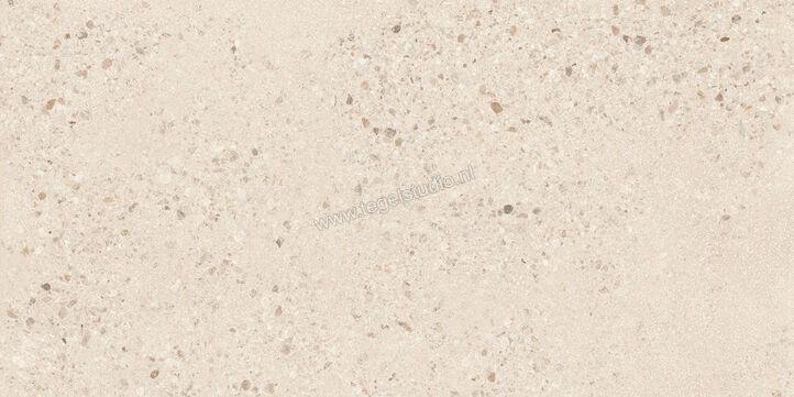  Sant Agostino Gravel Large Light 60x120 cm Vloertegel / Wandtegel Mat Gestructureerd Naturale CSAGLL6012 | 478310