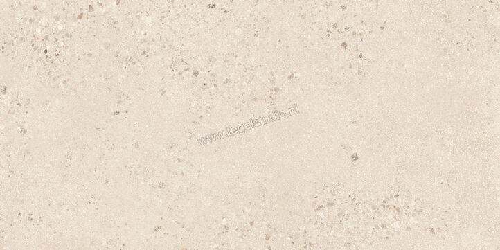  Sant Agostino Gravel Large Light 60x120 cm Vloertegel / Wandtegel Mat Gestructureerd Naturale CSAGLL6012 | 478313
