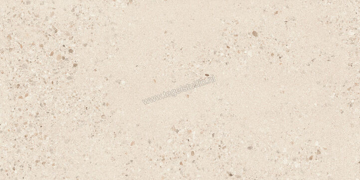  Sant Agostino Gravel Large Light 60x120 cm Vloertegel / Wandtegel Mat Gestructureerd Naturale CSAGLL6012 | 478316