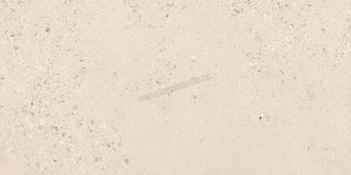  Sant Agostino Gravel Large Light 60x120 cm Vloertegel / Wandtegel Mat Gestructureerd Naturale CSAGLL6012 | 478319