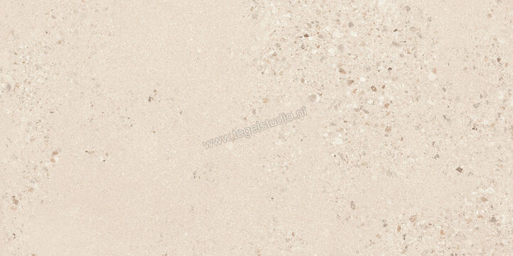  Sant Agostino Gravel Large Light 60x120 cm Vloertegel / Wandtegel Mat Gestructureerd Naturale CSAGLL6012 | 478325