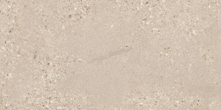  Sant Agostino Gravel Large Sand 60x120 cm Vloertegel / Wandtegel Mat Gestructureerd Naturale CSAGLS6012 | 478421