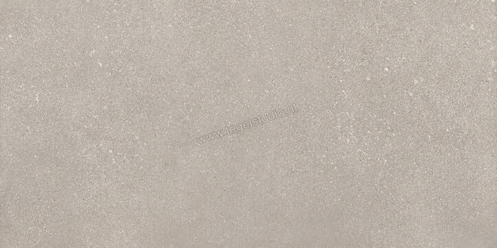 Sant Agostino Gravel Small Grey 60x120 cm Mozaiek Small Mat Gestructureerd Naturale CSAGSG6012 | 478562