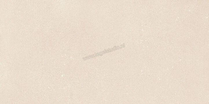  Sant Agostino Gravel Small Light 60x120 cm Mozaiek Small Mat Gestructureerd Naturale CSAGSL6012 | 478664