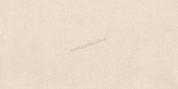  Sant Agostino Gravel Small Light 60x120 cm Mozaiek Small Mat Gestructureerd Naturale CSAGSL6012 | 478667