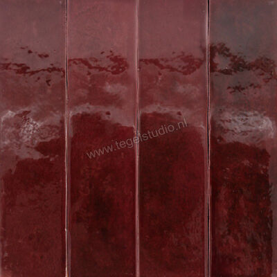  Topcollection Earth Burgundy 6.2x25 cm Decor Glanzend Vlak EA625BU | 486350