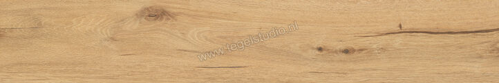  NovaBell Noor Amber 20x120 cm Vloertegel / Wandtegel Bold Mat Gestructureerd Naturale NORB91RT | 486626