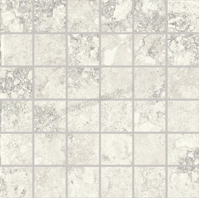  Provenza Unique Travertine White Ancient 30x30 cm Mozaiek 5x5 Mat Gestructureerd Naturale EJE0 | 486989