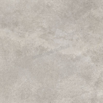  Emilceramica Fabrika Grey 100x100 cm Vloertegel / Wandtegel Mat Vlak Silktech Plus EME0 | 487790