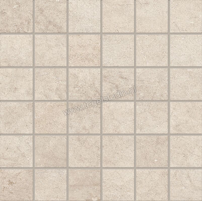  Emilceramica Fabrika Sand 30x30 cm Mozaiek Mat Vlak Silktech EMSD | 487973