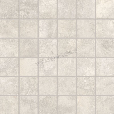  Emilceramica Fabrika White 30x30 cm Mozaiek Mat Vlak Silktech EMSF | 487979