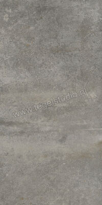  Emilceramica Fabrika Grey 30x60 cm Vloertegel / Wandtegel Mat Vlak Silktech EMY8 | 488027