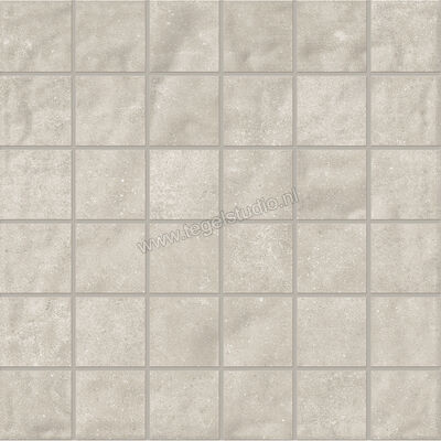 Emilceramica Forme Cenere 30x30 cm Mozaiek 5x5 Mat Vlak Silktech EMWJ | 488120