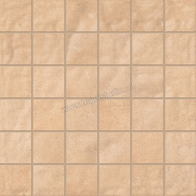  Emilceramica Forme Rosato 30x30 cm Mozaiek 5x5 Mat Vlak Silktech EMWM | 488129