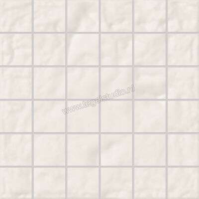  Emilceramica Forme Bianco Assoluto 30x30 cm Mozaiek 5x5 Mat Vlak Silktech EMWN | 488132