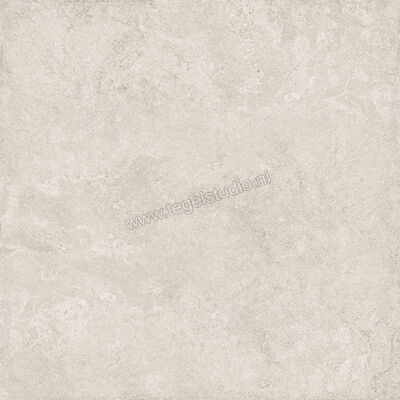  Emilceramica Mapierre Ancienne Gris 120x120x2 cm Terrastegel Mat Gestructureerd Naturale EMEK | 488678
