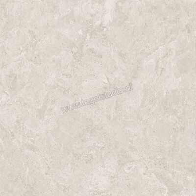  Emilceramica Mapierre Ancienne Gris 120x120x2 cm Terrastegel Mat Gestructureerd Naturale EMEK | 488684