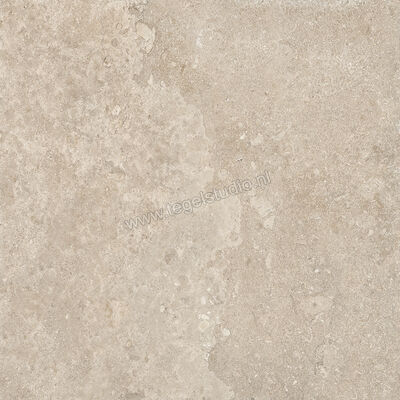  Emilceramica Mapierre Ancienne Naturel 120x120x2 cm Terrastegel Mat Gestructureerd Naturale EMEL | 488687