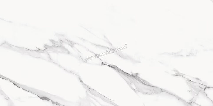  Emilceramica Tele Di Marmo Statuario Michelangelo 30x60 cm Vloertegel / Wandtegel Mat Vlak Naturale ED3M | 489467