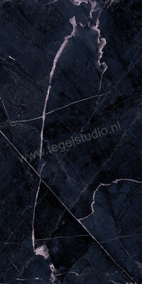  Emilceramica Tele Di Marmo Revolution Calacatta Black 30x60 cm Vloertegel / Wandtegel Mat Vlak Naturale EHC7 | 490022