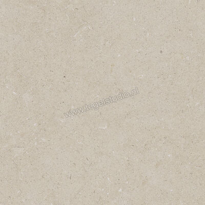  La Fabbrica Ava Moon Cream Beige 100x100 cm Vloertegel / Wandtegel Mat Gestructureerd Naturale 284401 | 493059