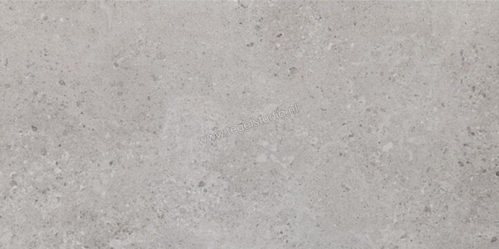 Marazzi Mystone - Gris Fleury Grigio 30x60 cm Vloertegel / Wandtegel Mat Gestructureerd Strutturato MLP1 | 5259