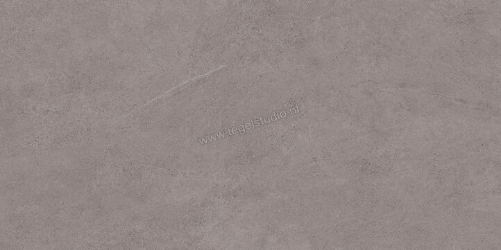 Margres Concept Grey 30x60 cm Vloertegel / Wandtegel Mat Vlak Naturale 36CT4NR | 58137