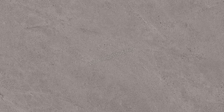Margres Concept Grey 45x90 cm Vloertegel / Wandtegel Mat Vlak Naturale 49CT4NR | 58146